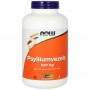 Psylliumvezels 500mg van NOW