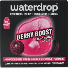 Waterdrop microenergy berry boost