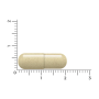 Vitakruid Multi Dag & Nacht Mama (60+30 capsules) van Vitakruid
