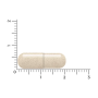Vitakruid Multi Dag & Nacht Mama (180+90 capsules) van Vitakruid