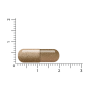 Vitakruid Reishi Duo Extract (60 capsules) van Vitakruid