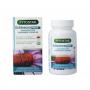 Echinacea forte van Fytostar