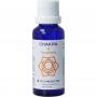 Chakra 2 sacraalchakra (oranje) van Vita
