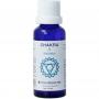 Chakra 5 keelchakra (blauw) van Vita