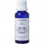Chakra 6 derde oog (indigo) van Vita