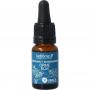 bloesemessence elm bio van Ladrome