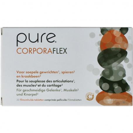 pure corporaflex 30 van Pure