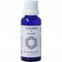 Chakra 7 kruinchakra (paars) van Vita