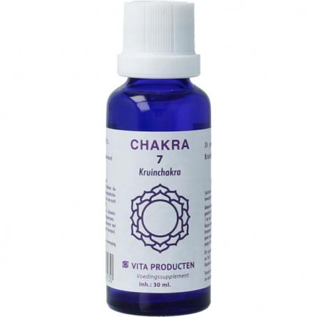 Chakra 7 kruinchakra (paars) van Vita