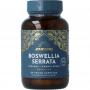 boswellia serrata van Ayurvediq