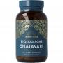 biologische shatavari van Ayurvediq