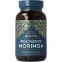 biologische moringa van Ayurvediq