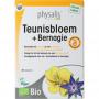 physalis teunisbloem + bernagi van Physalis
