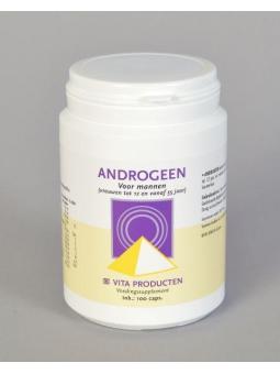 Solgar Astragalus Root (100 capsules) van Solgar