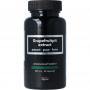 Grapefruit extract 500mg van Apb Holland