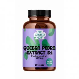 Your Flora Gold Spice met gember en kurkuma bio van Living Nutrition