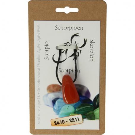 Sterrenbeeldhanger schorpioen van Steengoed