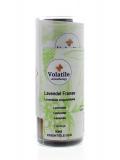 Lavendel Franse van Volatile