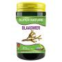 Blaaswier 500mg puur en 250mcg jodium van SNP