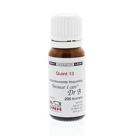 Quint 13 BMYD van DNH