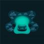 Fopspeen dental 6+ maanden glow in the dark van Difrax