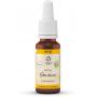 Bach bloesemremedies gentian bio van Lemon Pharma