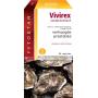 Vivirex van Fytostar