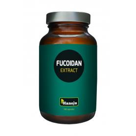 Meridiaan dunne darm meridiaan van Vita