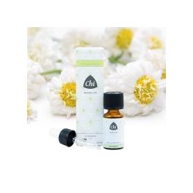 Citroen Italie van Volatile