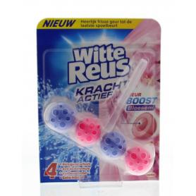 Majoraan gerist van Jacob Hooy