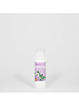 Floradix ijzer elixer van Salus