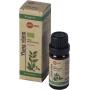 Ylang ylang olie bio van Aromed
