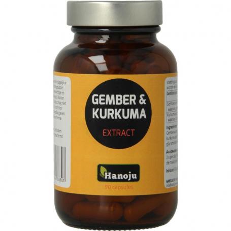 Gember & kurkuma extract van Hanoju