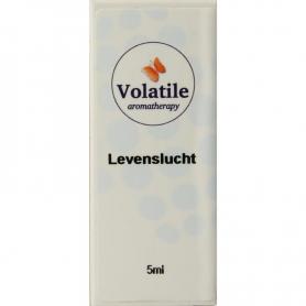 Eucalyptus wild van CHI