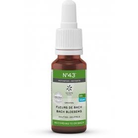 Melatonine original van Shiepz