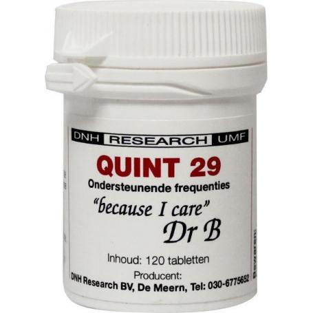 Quint 29 van DNH