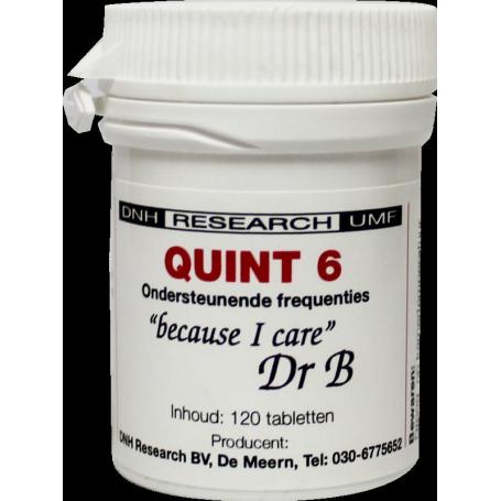 Quint 6 van DNH