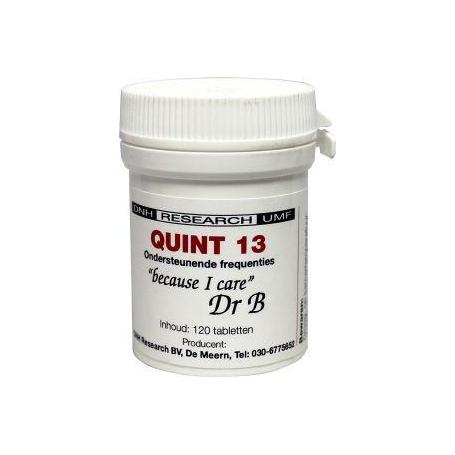 Quint 13 van DNH