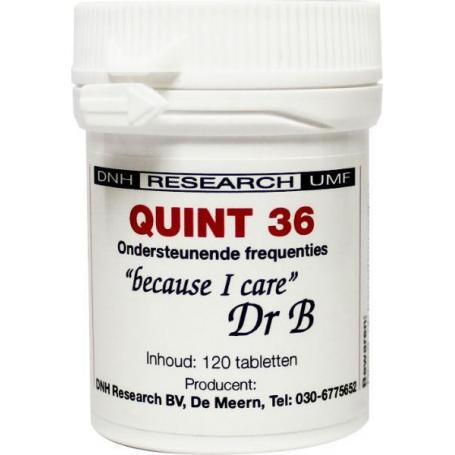 Quint 36 van DNH