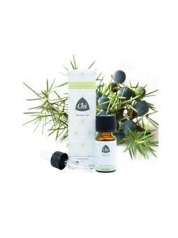 Tijm wild van Volatile