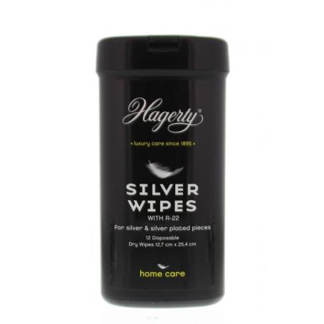 Silver wipes van Hagerty