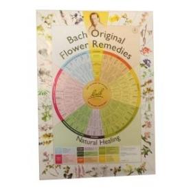 Elastic support enkel maat M huidskleur van Emdee