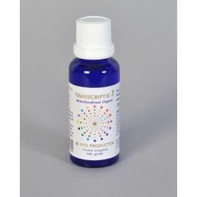 Resveratrol 100mg van All Natural