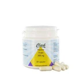 RAW pijnboompitten bio van Terrasana