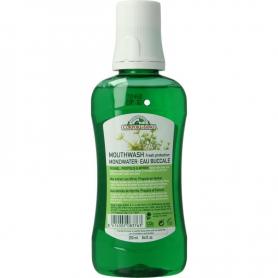 Arnica zalf van Weleda