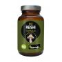 Reishi extract bio van Hanoju