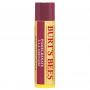 Lippenbalsem pomegranate van Burts Bees