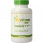 Cranberry + 60mg vitamine C van Elvitum