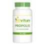 Propolis 3% flavonoiden van Elvitum