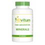 High absorption minerals van Elvitum